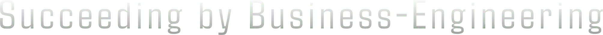 Succeeding by Business-Engineering